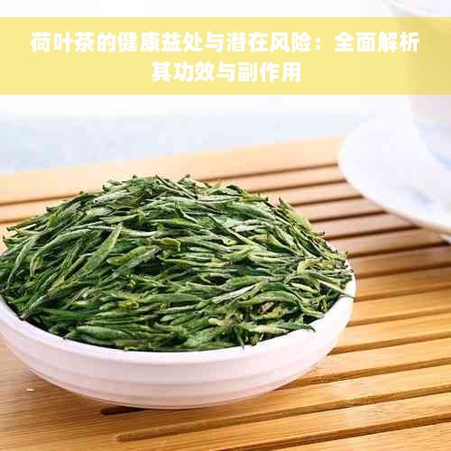 荷葉茶的健康益處與潛在風險：全面解析其功效與副作用