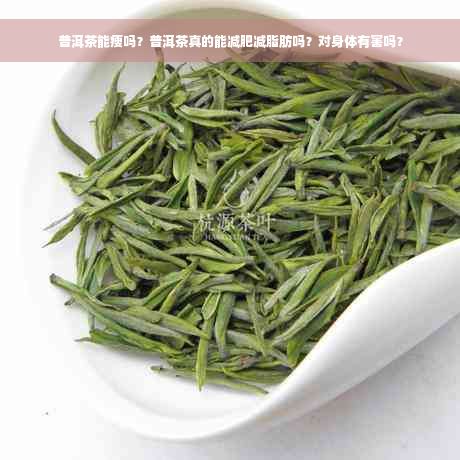 普洱茶能瘦嗎？普洱茶真的能減肥減脂肪嗎？對身體有害嗎？