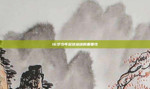 16歲少年足球培訓(xùn)的重要性