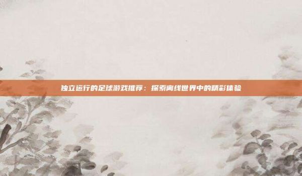 獨(dú)立運(yùn)行的足球游戲推薦：探索離線世界中的精彩體驗(yàn)