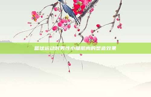 籃球運(yùn)動(dòng)對(duì)男性小腿肌肉的塑造效果
