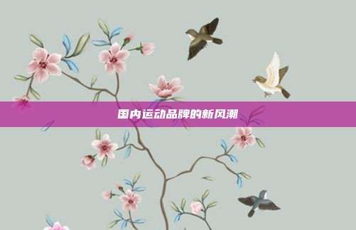 國內(nèi)運(yùn)動(dòng)品牌的新風(fēng)潮