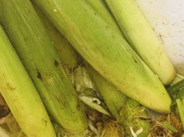 這3種飲料，是去濕氣“小助手”，喝它臉蛋不腫不油膩，人更清爽