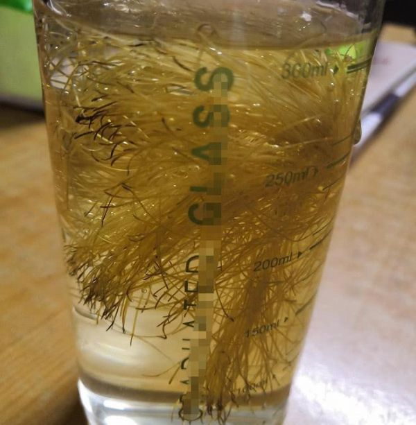 這3種飲料，是去濕氣“小助手”，喝它臉蛋不腫不油膩，人更清爽