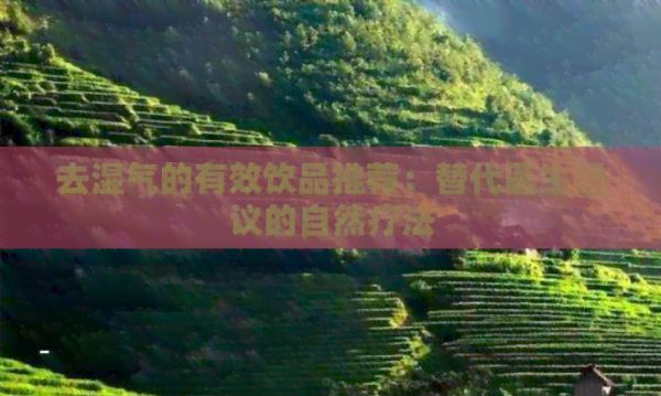 去濕氣的有效飲品推薦：替代醫(yī)生建議的自然療法