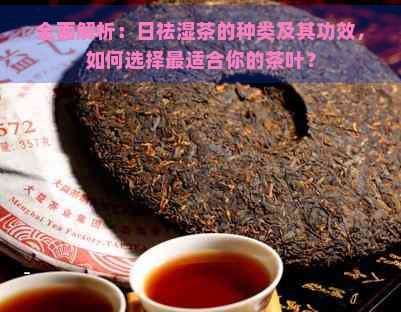 全面解析：日祛濕茶的種類及其功效，如何選擇最適合你的茶葉？