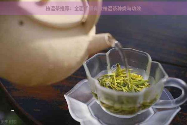 祛濕茶推薦：全面了解有效祛濕茶種類與功效