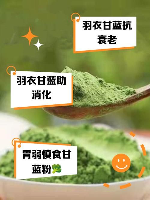羽衣甘藍粉可以泡咖啡喝么？（羽衣甘藍粉可以代替蔬菜嗎）-圖1