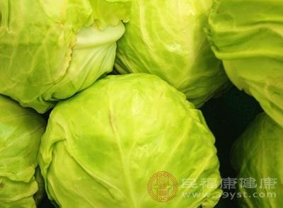 包菜中含有豐富的維生素C、維生素U