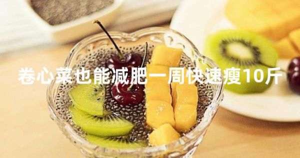 卷心菜也能減肥一周快速瘦10斤