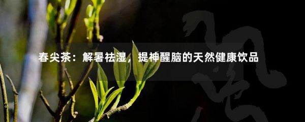 春尖茶：解暑祛濕，提神醒腦的天然健康飲品-第1張-綠茶-鳳凰單叢茶網(wǎng)