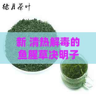 新 清熱解的魚腥草決明子茶 - 健天然的日常飲品