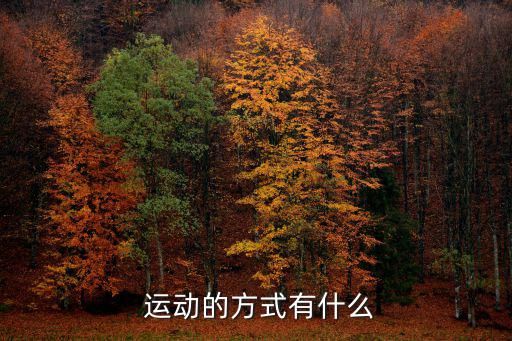  運(yùn)動(dòng)的方式有什么