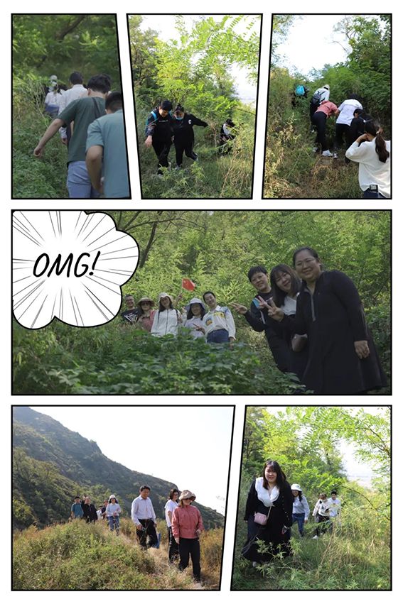 會聚頂峰254.png