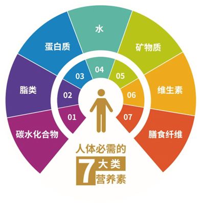人體必需的7大類營養(yǎng)素