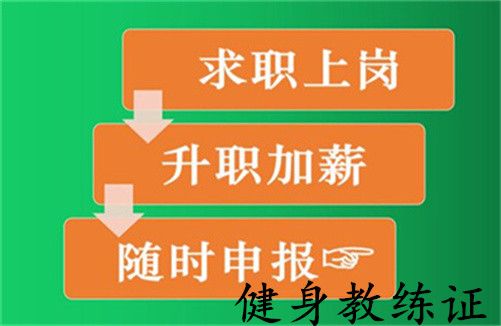 高级健身教练证书哪个含金量高