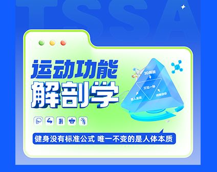 线上课-运动功能解剖学