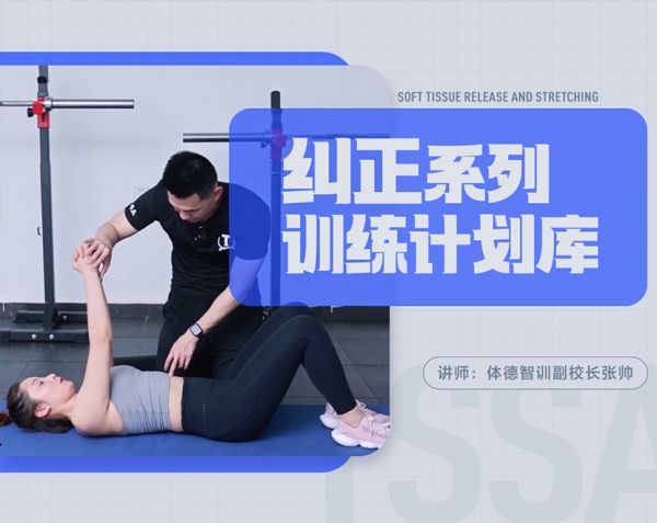 线上课-【体态纠正】训练计划库