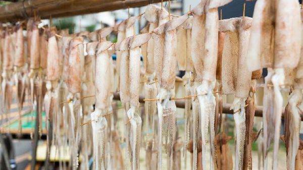 高血脂患者喝什么湯最好 為高血脂患者推薦三款滋補湯品