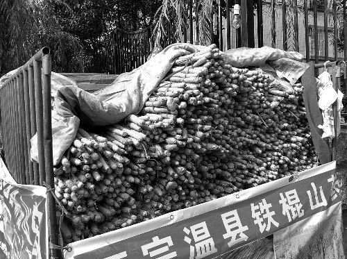 資料圖片