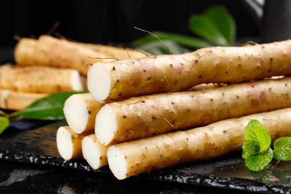 揭秘麻山藥根莖腐?。喊Y狀識(shí)別與綜合防治策略
