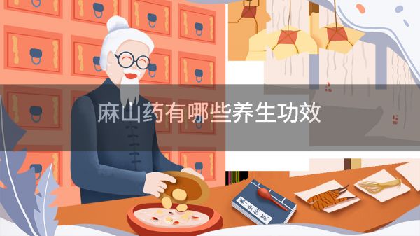 麻山藥有哪些養(yǎng)生功效