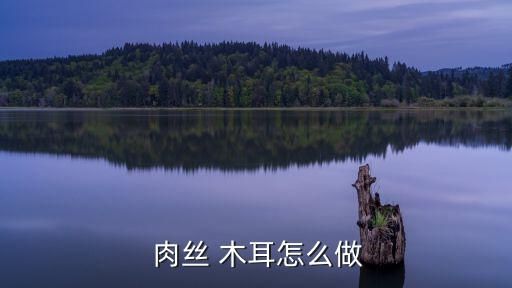  肉丝 木耳怎么做