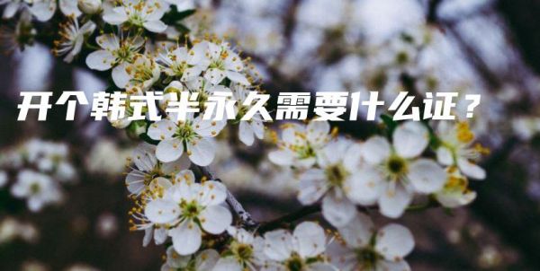 开个韩式半永久需要什么证？插图1