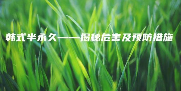 韓式半永久——揭秘危害及預(yù)防措施插圖1