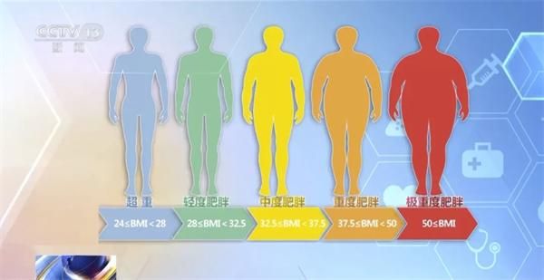 體質(zhì)指數(shù)（BMI） 來源：央視網(wǎng)