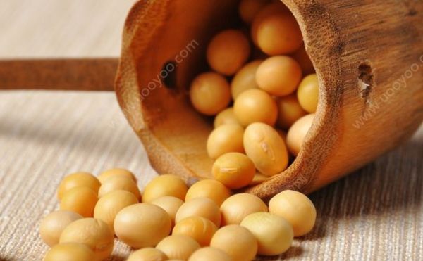 黃豆有什么營養(yǎng)？黃豆有什么功效？(3)