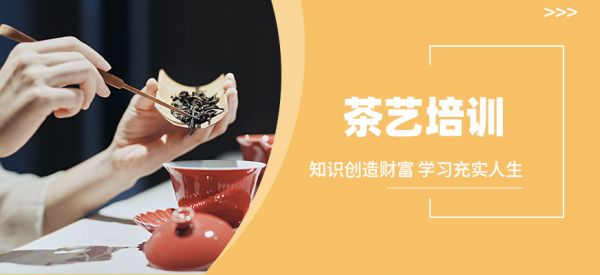茶艺培训