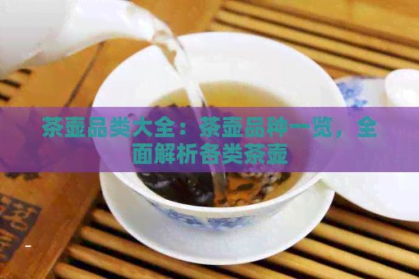 茶壺品類大全：茶壺品種一覽，全面解析各類茶壺
