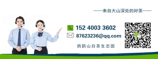 聯(lián)系方式