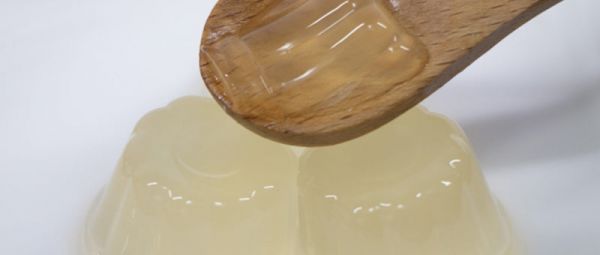 蒟蒻果凍