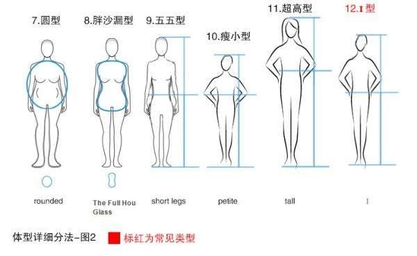 女生常見的12種體型分析，你屬于哪種？插圖3