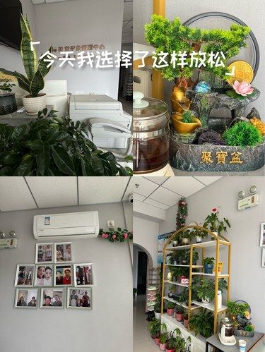 放松時(shí)光小區(qū)域