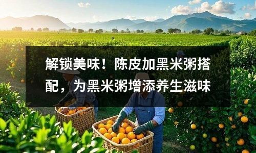 解鎖美味！陳皮加黑米粥搭配，為黑米粥增添養(yǎng)生滋味