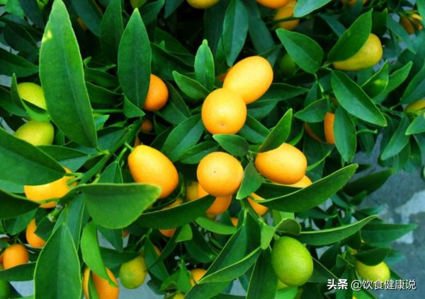 女人若想延緩衰老，不妨選擇這7種食物，常吃或有助養(yǎng)顏抗衰老