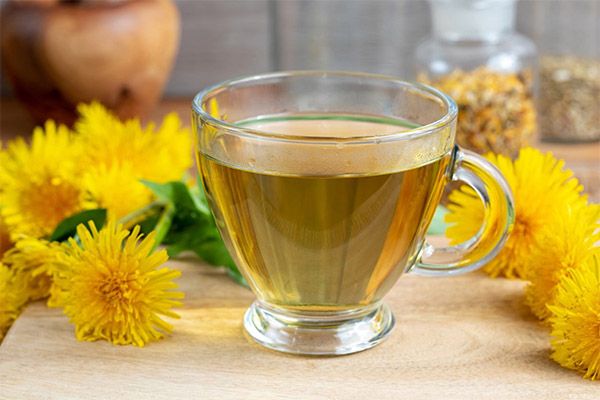 蒲公英茶的好處和壞處