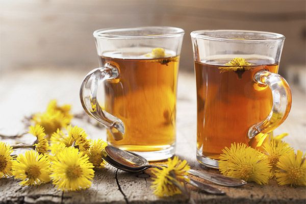如何飲用蒲公英茶