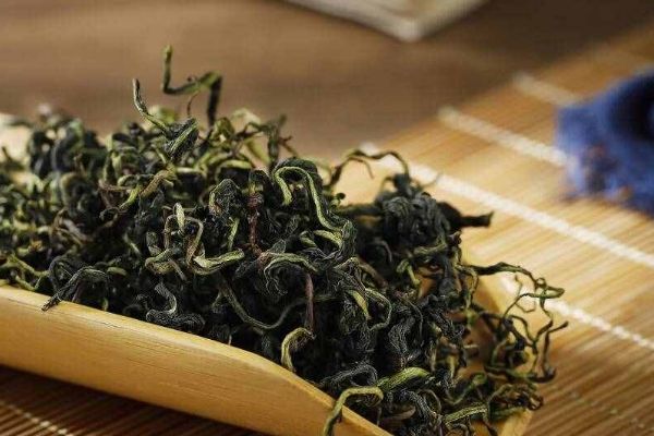 蒲公英茶的十大功效與禁忌，蒲公英茶的作用與功效