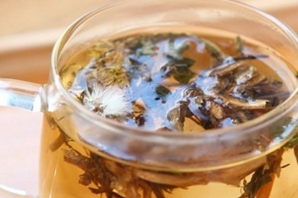 蒲公英茶的十大功效與禁忌，蒲公英茶的作用與功效