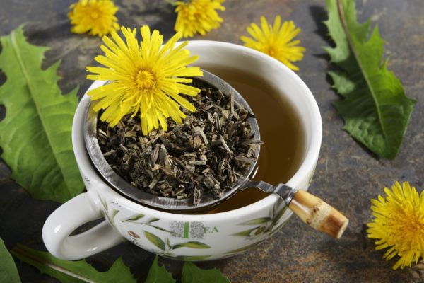 月經(jīng)來了可以喝蒲公英茶嗎：解密女性健康秘密