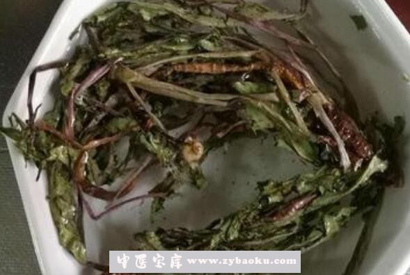 蒲公英茶的功效與作用 蒲公英茶的副作用