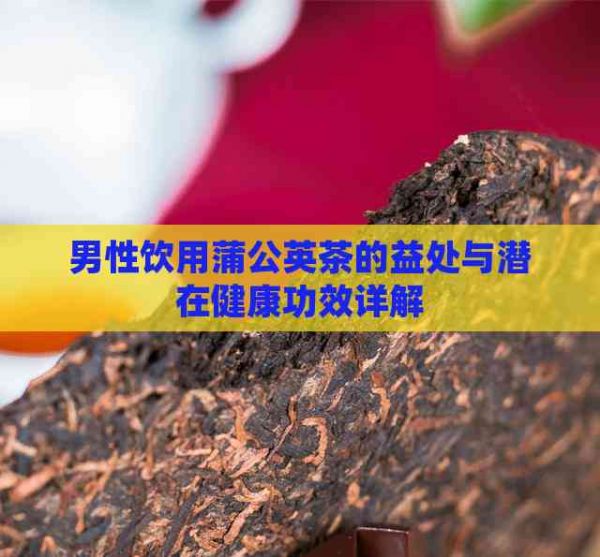 男性飲用蒲公英茶的益處與潛在健康功效詳解