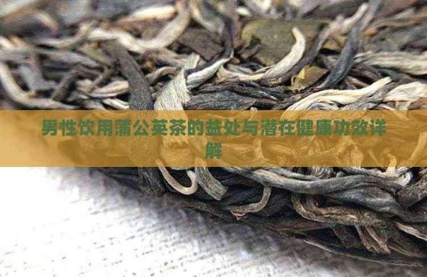 男性飲用蒲公英茶的益處與潛在健康功效詳解
