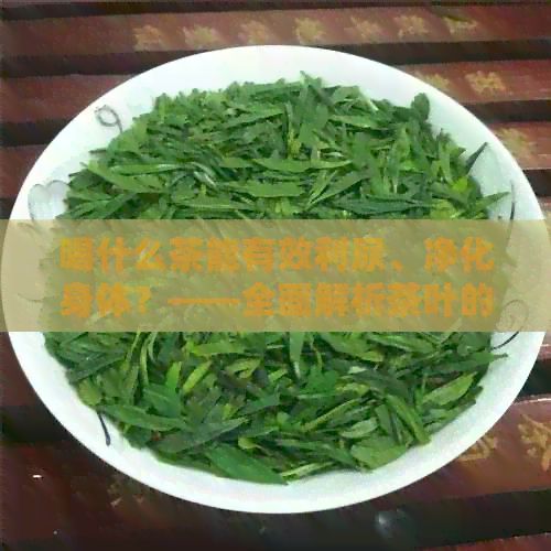 喝什么茶能有效利尿、凈化身體？——全面解析茶葉的排功效與選擇建議
