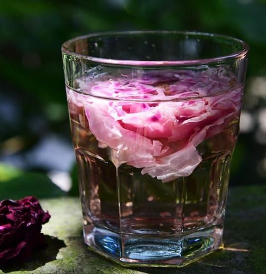 玫瑰花茶的注意事项