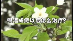 喝酒成瘾以后怎么治疗